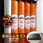 ショッピング玉ねぎ 雲仙ハムギフト(1本300g 4本入)【送料別】 長崎 BBQ 焼肉 ソールフード 引出物 御祝い返し
