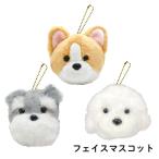 わんこフェイスマスコットシュナウザ...