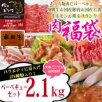 肉 送料無料 福袋 牛肉 バーベキュ