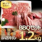 ショッピング牛肉 肉 福袋 牛肉 バーベキューセット 1.2kg 飛騨牛 国産豚肉 牛タン 約4〜5人前  バーベキュー約4〜5人前 焼肉 BBQ　ブランド牛