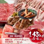 肉  福袋 牛肉  バーベキューセット 1.5kg 飛騨牛 国産豚肉 牛タン ウインナー  バーベキュー 約5〜6人前 BBQ キャンプ