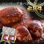 ハンバーグ 肉 和牛 ギフト  飛騨牛 生ハンバーグ 2個 煮込みハンバーグ 2個  牛肉 黒毛和牛 卒業 入学 内祝 お取り寄せグルメ セット お手軽