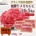 肉 福袋 牛肉 焼肉セット 飛騨牛 ギガ盛 カルビ 1.5kg 約6人〜7人 焼肉 焼き肉 黒毛和牛 バーベキューセット BBQ メガ盛