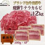 肉  福袋 牛肉 焼肉セット 飛騨牛 テラ盛 カルビ 2kg 約8人〜10人 焼肉 焼き肉 黒毛和牛  バーベキューセット BBQ メガ盛