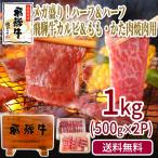 肉 福袋 牛肉 焼肉セット 飛騨牛 メガ盛り 1kg カルビ もも かた肉 赤身 約4〜5人 焼肉 焼き肉 黒毛和牛 バーベキュー バーベキューセット お取り寄せグルメ