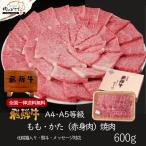 母の日 ギフト A4A5等級 飛騨牛 焼肉 もも かた 焼肉 600g 約3-4人 送料無料 肉 牛肉 赤身 黒毛和牛 御中元 お中元 御祝 内祝 御礼 焼き肉