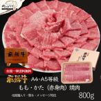 母の日 ギフト A4A5等級 飛騨牛 焼肉 もも かた 焼肉 800g 約4-5人 送料無料 肉 牛肉 赤身 黒毛和牛 御中元 お中元 御祝 内祝 御礼 焼き肉