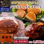 牛肉 母の日  ギフト 母の日 父の日 プレゼ ント ブランド牛 バラエティグルメセット 飛騨牛 コロッケ ミンチ ハンバーグ 肉 ギフト 煮込み 御礼 御祝 内祝 惣菜