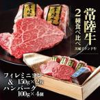 肉 ギフト お肉 常陸牛100％ ハンバーグ 100g×4個 フィレステーキ×2枚セット 冷凍 お歳暮 誕生日 プレゼント 高級 結婚 出産 内祝い 退職 お礼 御歳暮ギフト