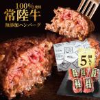 ハンバーグ 母の日 ギフト プレゼント 2025 肉 内祝い お返し 常陸牛100% 100g×5個入 出産 結婚 高級 食品 グルメ 食べ物 牛肉 和牛 父の日