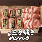 ハンバーグ 残暑見舞い 贈り物 お中元 2025 ギフト 肉 夏ギフト 敬老の日 プレゼント 常陸牛ハンバーグ 100g 6個 & 豚生姜焼き500g 木箱 ローズポーク 冷凍