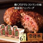 ハンバーグ 残暑見舞い 贈り物 お中元 2025 ギフト 肉 夏ギフト 敬老の日 プレゼント 無添加 冷凍 常陸牛 100g×6個入 木箱入り 内祝い お取り寄せ 誕生日 食品