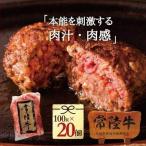 ハンバーグ 冷凍 20個 無添加 お取り寄せ セット 送料無料 惣菜 常陸牛ハンバーグ 100g 20個入り お試し ブランド牛 国産 和牛 黒毛和牛 プレゼント 自宅用