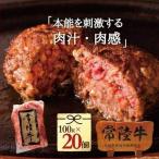 ハンバーグ セット 送料無料 惣菜 