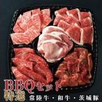 焼肉 セット BBQ 常陸牛 A5 特選 5種類 バーベキュー おすすめ 肉 和牛 国産 プレゼント 食べ物 ご自宅 肉のイイジマ