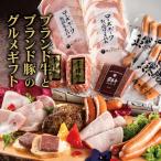 ショッピングハム 母の日 遅れてごめんね プレゼント 食べ物 お返し ギフト ハム ギフト ソーセージ 詰め合わせ IFFA金賞イイジマ おつまみセット 内祝 誕生日プレゼント  お祝い