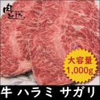 ショッピングバーベキュー 牛肉 焼き肉 ハラミ(サガリ) 1kg BBQ バーベキュー 焼肉 大容量