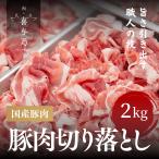 ショッピング国産 国産豚肉 切り落とし 2kg（250g×8パック）小分け冷凍  冷凍便　喜与乃の豚こま