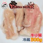 国産牛小腸500g市場直送ハマモツ...
