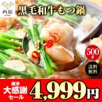 もつ鍋 取り寄せ A5等級 黒毛和牛 国産 もつ鍋 4-6人前 500g(250g×2) ちゃんぽん麺  お歳暮 2022 お取り寄せ グルメ
