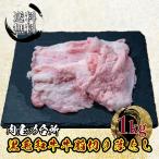 牛脂 ピンク牛脂 黒毛和牛 1kg (500g×2) 高脂質ダイエット レビュー特典有