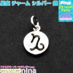 星座 チャーム シルバー 銀 うお座 星座チャーム レシピ チャーム 銀 レジン アクセサリー キーホルダー シルバー 手作り ハンドメイド UVレジン 手芸 素材