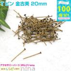 T булавка золотой старый прекрасный 20mm примерно 100 шт resin симпатичный Kawai i resin для детали resin сопутствующие товары материалы inserting предмет 