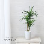 人工観葉植物 父の日 屋外 フェイクグリーン リアル 観葉植物 父の日 屋外 造花 ユッカ ツリー 鉢付 インテリア おしゃれ 55cm