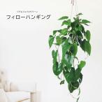人工観葉植物 父の日 屋外 フェイクグリーン リアル 観葉植物 父の日 屋外 造花 フィローハンギングポット 鉢付 インテリア おしゃれ 90cm