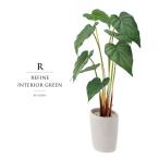 観葉植物 フェイクグリーン 人工観葉植物 アロカシア ロングアロカシア 造花 おしゃれ ツリー 店舗装飾 フェイク グリーン インテリア 55cm 屋外