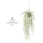 観葉植物 フェイクグリーン 人工観葉植物 リプサリス ハンギングポット 造花 おしゃれ ツリー 店舗装飾 鉢付 小型 フェイク グリーン インテリア 77cm 屋外