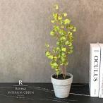 フィカスシタシオン ベンジャミン 37cm 人工観葉植物 フェイクグリーン 置物 飾り アート かわいい おしゃれ ツリー 店舗装飾 フェイク グリーン インテリア