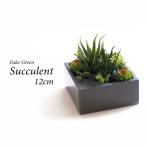 人工観葉植物 フェイクグリーン 観葉植物 造花 多肉植物 陶器鉢付 卓上 小型 フェイク グリーン インテリア おしゃれ お祝い 父の日 屋外