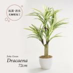 人工観葉植物 フェイクグリーン 観葉植物 造花 ドラセナ ツリー 陶器鉢付 光触媒 大型 フェイク グリーン インテリア おしゃれ お祝い 父の日 72cm 屋外