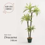 人工観葉植物 フェイクグリーン 観葉植物 造花 ドラセナ ツリー 鉢付 光触媒 大型 フェイク グリーン インテリア おしゃれ 146cm 屋外