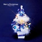 クリスマススツリー 陶器ツリー ホワイトクリスマス 30cm 手作り クリスマス リース 置物 飾り 装飾 ホワイト ブルー 青 店舗装飾 かわいい ミニツリー ミニ