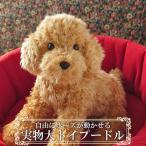 ニニアンドキノ ぬいぐるみ 犬 リアル トイプードル (アプリコット・レッド) 自由にポーズが変えられる 全長約33cm 本物 そっくり ペット