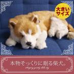 ニニアンドキノ パーフェクトペット (大サイズ) 柴犬 ぬいぐるみ 犬 いぬ イヌ リアル 本物 そっくり 雑貨 動物 アニマル 癒し 動く プレゼント ギフト お祝い