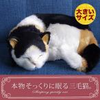 nini and kino мягкая игрушка кошка настоящий Perfect домашнее животное ( большой размер ) три шерсть кошка подлинный товар целиком домашнее животное День матери Рождество подарок . покупка 