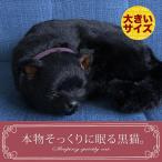 簡易ラッピングでお届け 【パーフェクトペット（大） 黒猫 ぬいぐるみ】猫 ねこ ネコ リアル 本物 そっくり