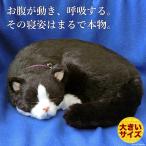 ニニアンドキノ パーフェクトペット (大サイズ) ハチワレ猫 ぬいぐるみ 猫 ねこ ネコ リアル 本物 そっくり プレゼント ギフト