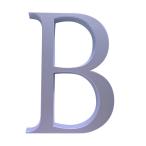  криптомерия рисовое поле Ace этаж число отображать PH01 No.B 214-459 satin silver 