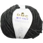 DMC BIG KNIT большой вязаный шерсть супер очень толстый 106m #104 MINERAL HAZE минерал DMC8151