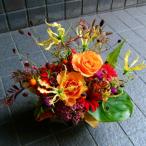 i. Хара .. день открытие праздник .ju-si- организовать цветок подарок и т.п. условия имеется бесплатная доставка день рождения открытие праздник . день рождения подарок 