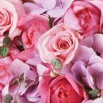 i. Хара .. день открытие праздник . цветок подарок рейтинг популярности случайный розовый серия организовать цветок цветок подарок день рождения 41