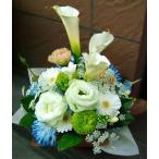 i. Хара .. день открытие праздник . цветок подарок рейтинг популярности случайный оттенок белого организовать цветок 47