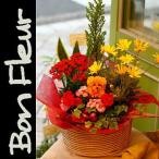 i. Хара .. день открытие праздник . цветок подарок рейтинг популярности случайный сезон. растения организовать серии 61 день рождения подарок 