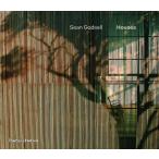 SEAN GODSELL:HOUSES　ショーン・ゴッドセル　建築　住宅　絵画　作品集　ハードカバー【言語：英語】