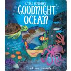 LITTLE EXPLORERS:GOODNIGHT OCEAN（英語絵本）海　生き物　就寝前　読み聞かせ　1 〜 3 歳　外国の絵本　ボードブック