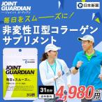 JOINT GUARDIAN ジョイントガーディアン 31日分